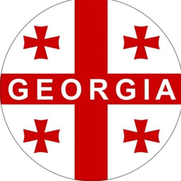 Telegram-канал Николай Левшиц - channel in Georgia / Грузия